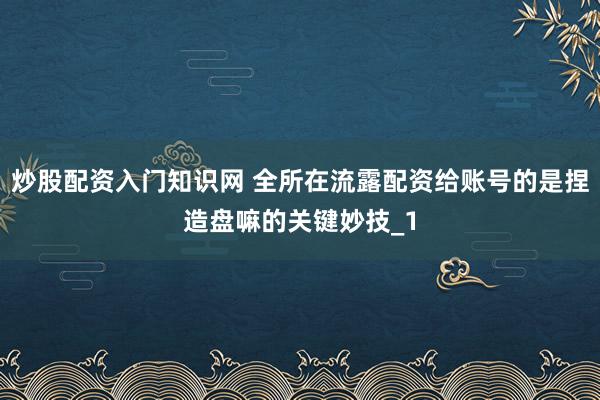 炒股配资入门知识网 全所在流露配资给账号的是捏造盘嘛的关键妙技_1